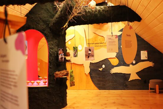 Piekrastes ciema vēstures, dabas un putnu ekspozīcija